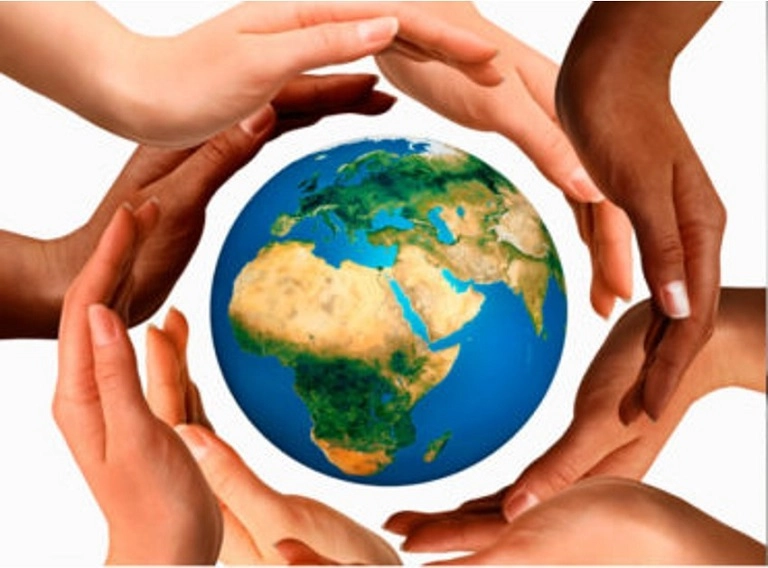 Halifax not-for-profit marketing agency team planning campaigns for Nova Scotia charities and organizations